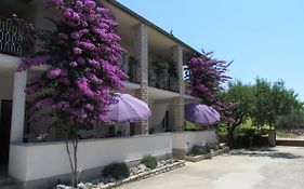 Apartments Pipi